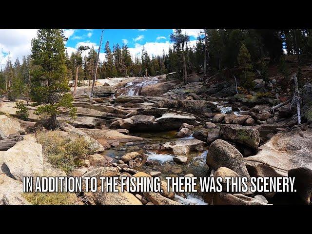 Fly fishing in and around Yosemite/High Sierra Trout Slam