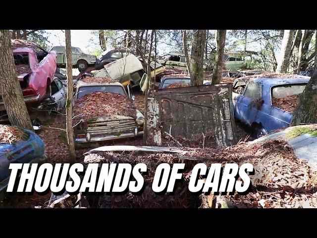 Thousands of Classic Cars Left to Rust - Old Car City - White, GA