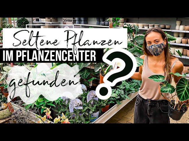 PFLANZEN SHOPPING im Gartencenter  | Seltene Pflanzen gefunden !!! 