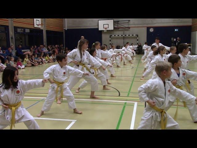 Karate Demonstration Kampfsportschule Aarau