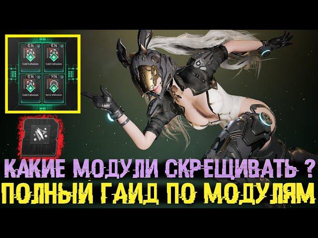 The First Descendant: Самый подробный гайд по модулям ! Как получить секретные модули ?