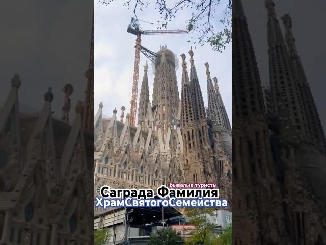 масштабный Собор #достопримечательность #Испания #Барселона #тревелвлог #отпуск #круиз