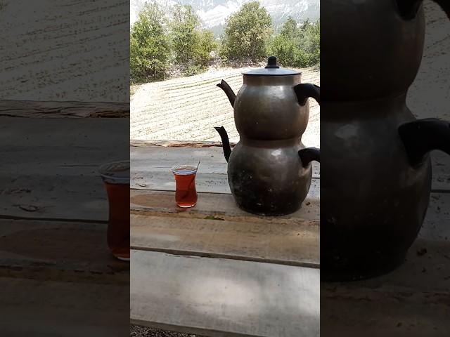 #köydehayat #köy #garden #food #yemektarifleri #doğa #koyvlog #dogal #hayatinaynasi #temizlik #bahçe