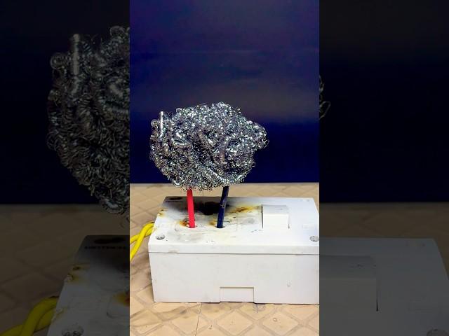 ️crazy experiment with steel bushes #experiment #electrical #science
