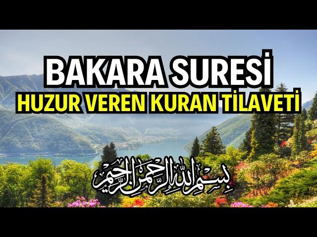 Bakara Suresi Dinle - İman ve Bilgelik Dolu Kuran Tilaveti | Kuran Dinle