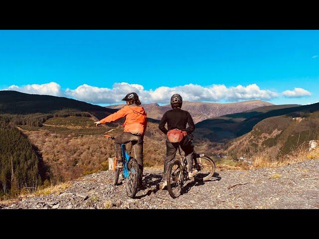 Steep Dyfi Forest off piste