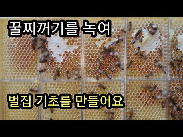 꿀찌꺼기를 녹여 병벌집꿀과 벌집꿀 만들기(Melt the honeycomb to make a honeycomb base)