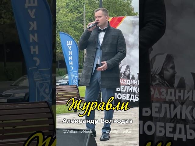 ЖУРАВЛИ  Александр Волкодав в концертной программе «Салют Победы!» Щукино, Москва #деньпобеды