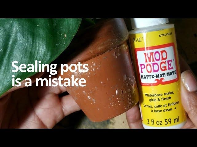 Want a waterproof pot? Watch before using Mod Podge on terracotta pots