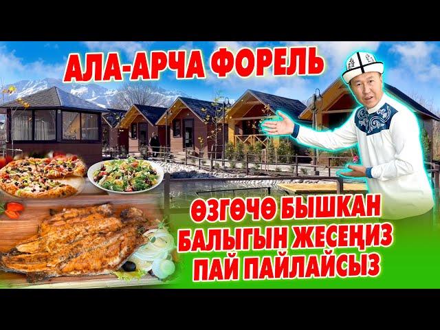 Эс АЛУУГА ѳтѳ СОНУН жай АЧЫЛДЫ ~ АЛА-АРЧА форель ~ КУУРУЛГАН анан МАНГАЛГА бышкан БАЛЫКТАРЫ ЗОР экен