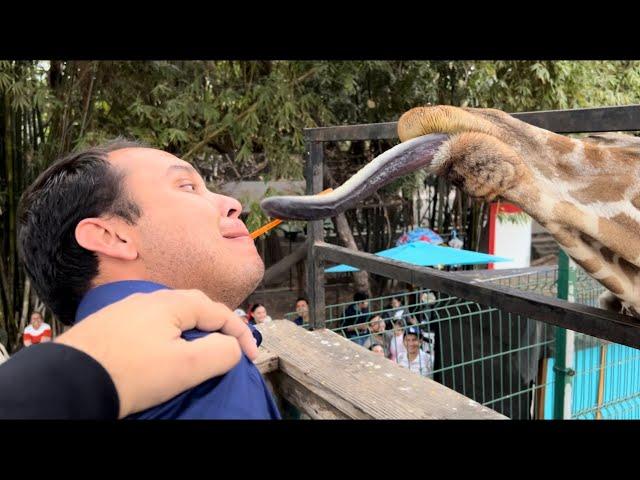 MI CUARTO VIDEO FUIMOS A VISITAR EL ZOOLÓGICO DE CULIACÁN LOS TOYS‼️ (PITYN TOYS)