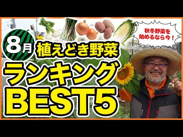 ８月家庭菜園植えどき野菜ランキングベスト５！秋冬野菜栽培がスタート！大人気のジャガイモや白菜、玉ねぎも登場！秋冬野菜に向けて徹底解説！【農業】