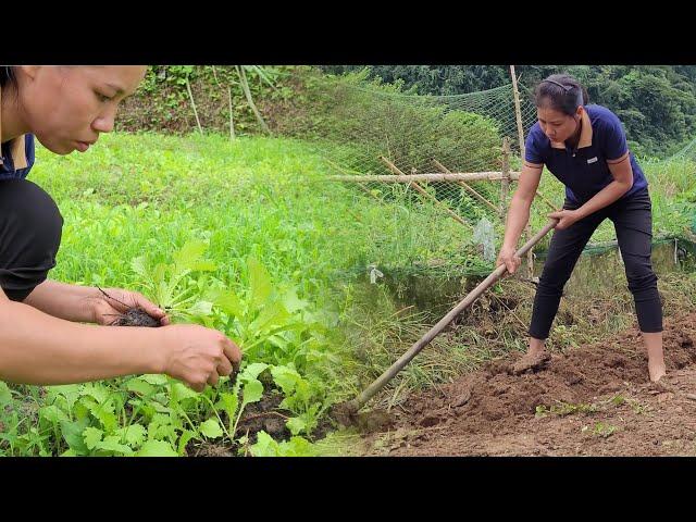 A Single Girl's Vegetable Garden: Love From the Earth