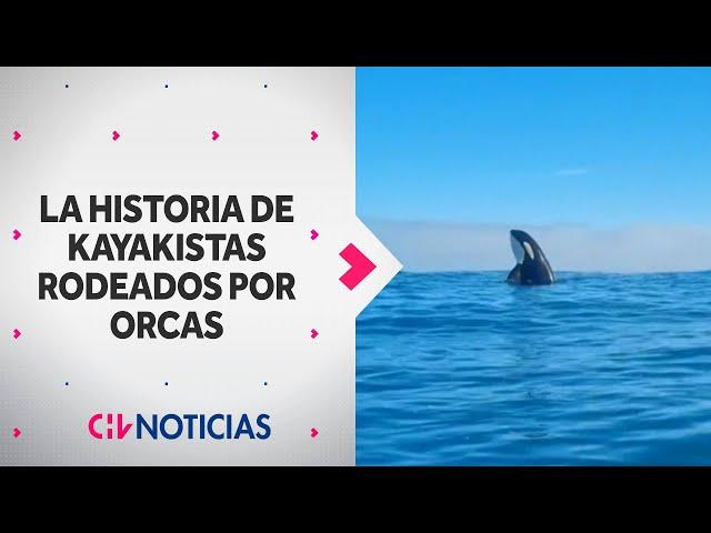 "QUEDAMOS PÁLIDOS”: La impactante historia de kayakistas que fueron rodeados por orcas en Pichilemu