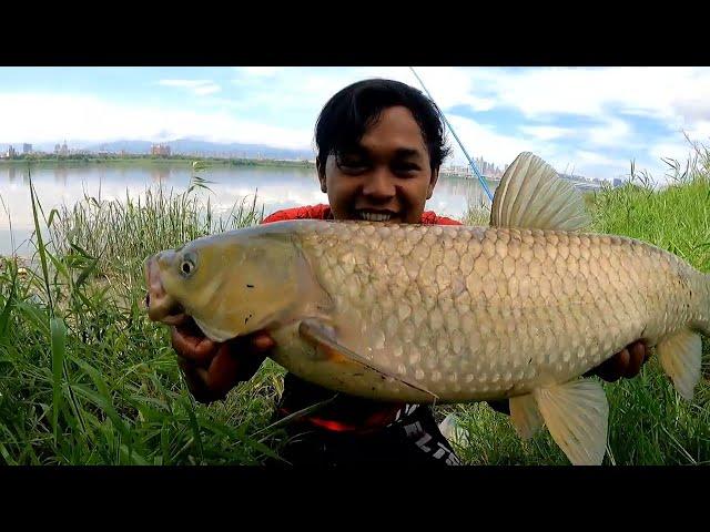 Ngeri Monster.! Joranku Patah Di Hajar Ikan Besar || Gak Nyangka Sampai Pinggiran Mengamuk