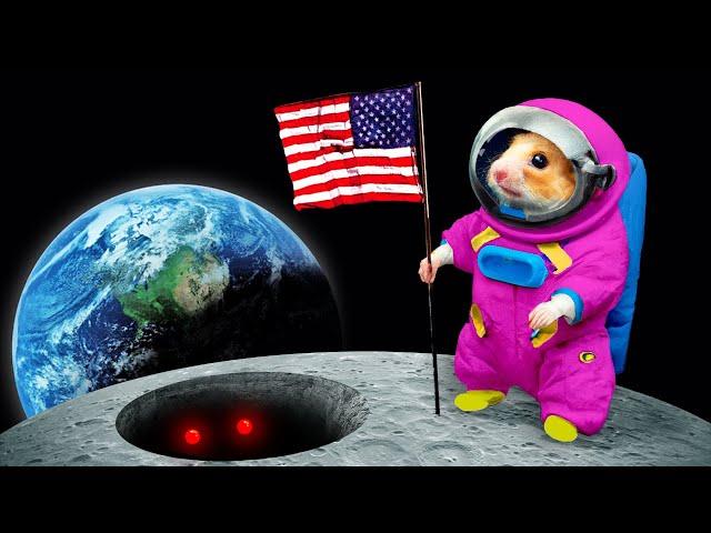  Hamster Goes to SPACE - Hamster Maze with Traps ️ [OBSTACLE COURSE]