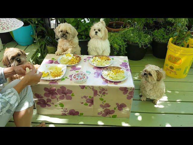 Những món ăn độc lạ Bốn bé dễ thương yêu thích||Unique dishes four cute babies like to eat.