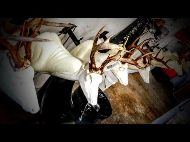 FORM PREP HACKS! Here's 3 time saving mannequin alterations! ***SUPER EASY*** WHITETAIL TAXIDERMY!