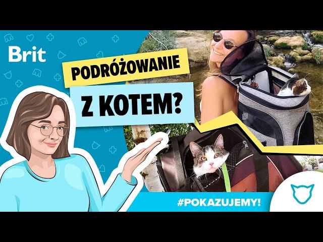 POKAZUJEMY: Podróżowanie z… kotem? Tak! - Brit Polska