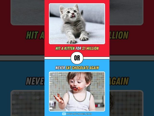 Would You Rather Questions (Episode 17) #choices #quiz #kitten #wouldyourather #thisorthat #tiktok