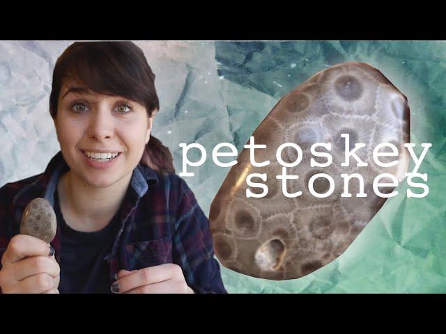 Why Michigan Is Full of Extinct Coral Fossils | Petoskey Stones