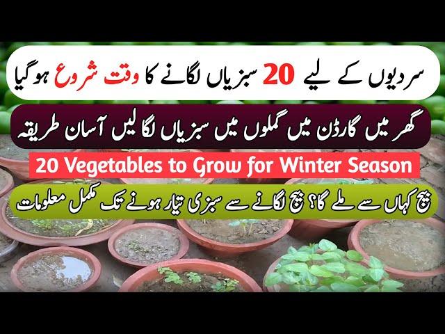 Start Time Of WINTER Season Vegetables Growing At Home | Home Vegetables Garden | Kitchen Gardening