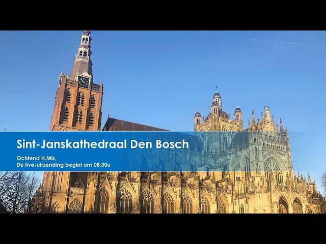 Sint-Janskathedraal Den Bosch 2 september 2024,  ochtend H. Mis 8.30u