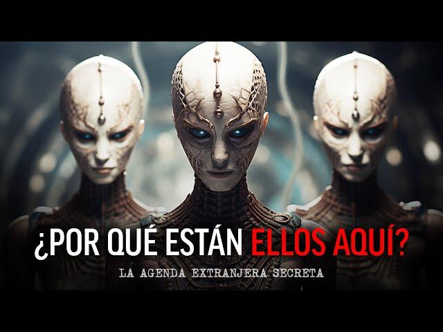 ¿POR QUÉ ESTÁN ELLOS AQUÍ? La agenda extraterrestre secreta: ¡lo que NECESITAS saber!  Paul Wallis