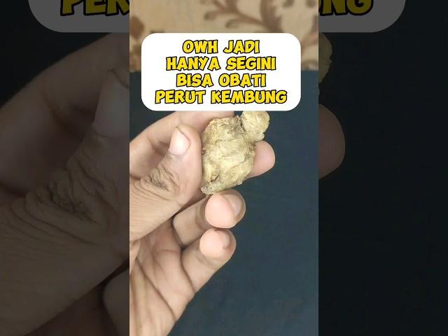 tips obati perut kembung #tips #trik #obat #herbal #rimpang #jahe