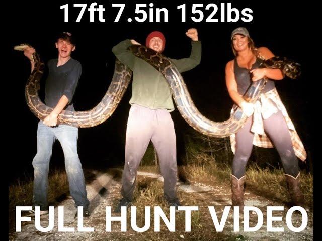 17ft 7.5in MONSTER Python Full Hunt Video | Snakeaholic