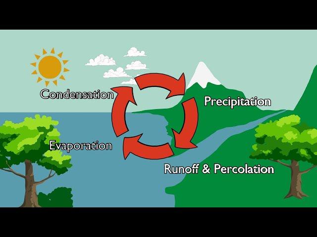 Water cycle - Where does rain come from? #education #water