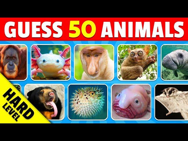 Guess 50 Rare Animals - IMPOSSIBLE Level  | Guess The Animal Challenge