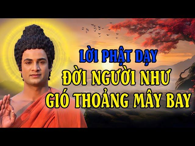 Lời Vàng Phật Dạy giúp bạn sống trọn vẹn từng phút giây