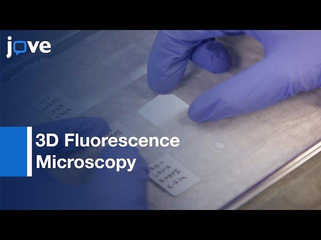 3D Fluorescence Microscopy: Imaging Of Viral Transcription Factories