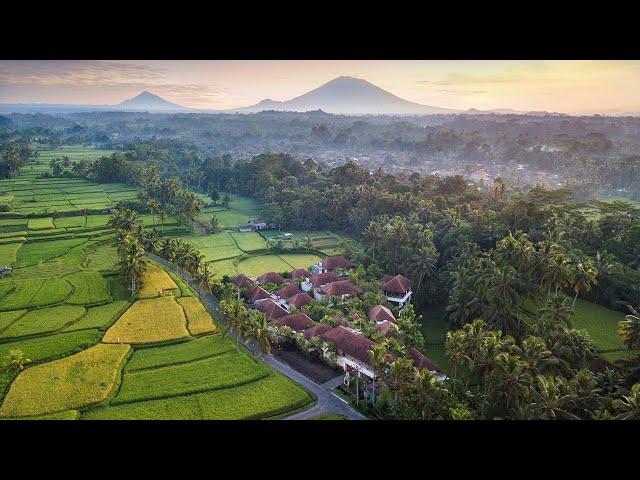 Dedary Resort Ubud by iNi Vie Hospitality - Property Profile