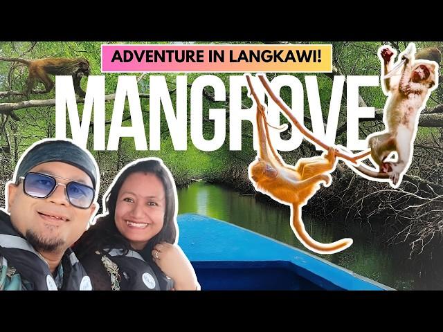 Most EXCITING Things to Do in LANGKAWI Malaysia! MANGROVE TOUR BAT CAVE Kilim Geoforest Trip Vlog