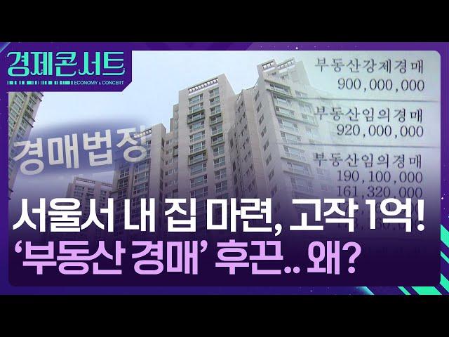 부동산 경매 물건 넘친다는데…투자 시 유의점은? [경제콘서트] / KBS  2024.11.20.