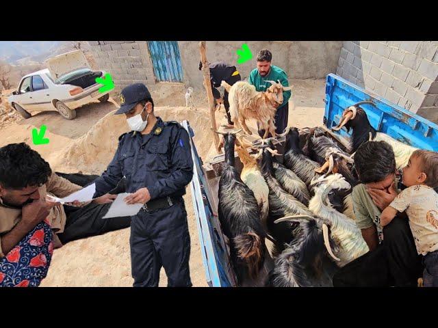 Saifullah's relentless efforts to migrate and evacuate his home in the mountains