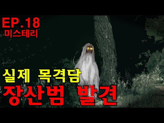 [미스테리] EP.18 장산범 실제로 장산범을 목격한 사람이 나왔다?!