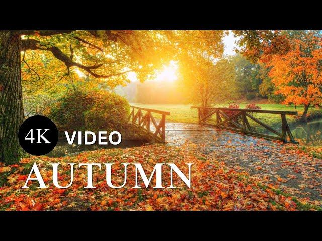 Relaxing Guitar Music for Stress Relief: 2 Hours of Autumn Scenery with Calming Fall Ambiance (4k)