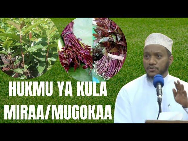 HUKMU YA KULA MIRAA NA MUGOKAA//DUKTUR ISLAM MUHAMMAD