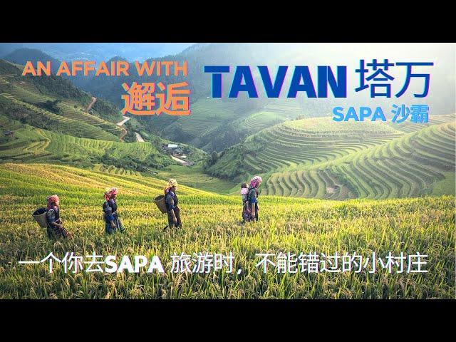 Tavan (塔万)村是你去越南Sapa(沙霸)镇旅游时不能错过的村寨! 仅相距Sapa 10公里的路程而已，却拥有你梦寐以求的田园风景，世外桃源，而且好多很棒的咖啡馆和民宿，你绝对意想不到！