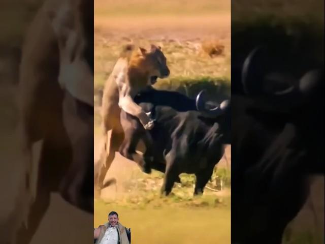 معركة ابطال البرية:نهاية خفية #shorts