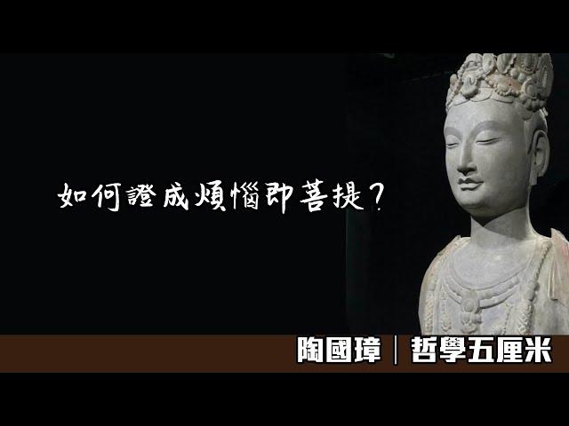 736 佛性與般若。如何證成煩惱即菩提？〈陶國璋：哲學五厘米〉2022-12-07