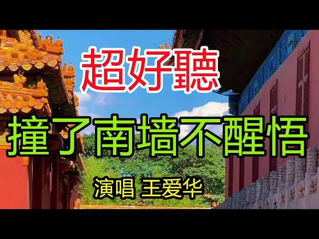 王愛華 完整版《撞了南牆不醒悟》超好聽｜北京太廟故宮