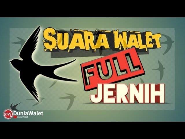 SUARA PANGGIL WALET FULL JERNIH