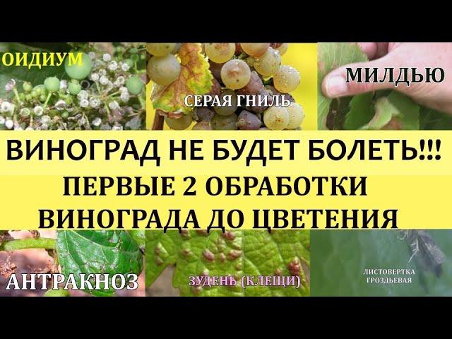 ВИНОГРАД НЕ БУДЕТ БОЛЕТЬ!!! ПЕРВЫЕ 2 ОБРАБОТКИ ВИНОГРАДА ПЕРЕД ЦВЕТЕНИЕМ.Болезни винограда.