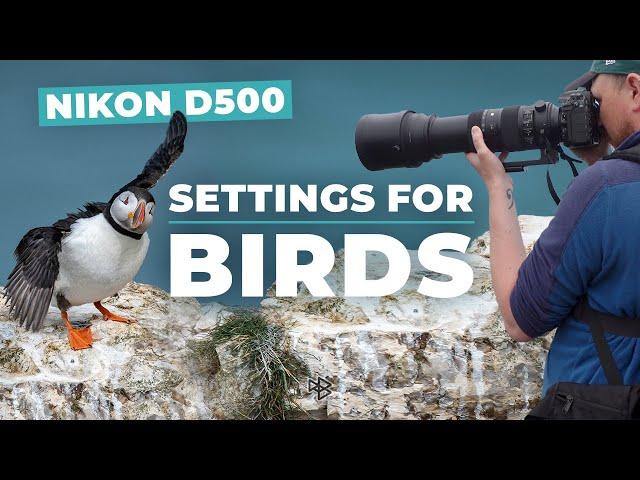 How to Set Up the Nikon D500 for Bird Photography