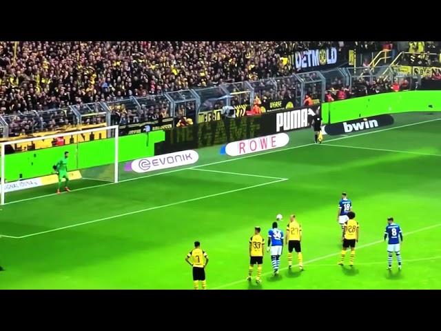 CALIGIURI GOAL VS BVB