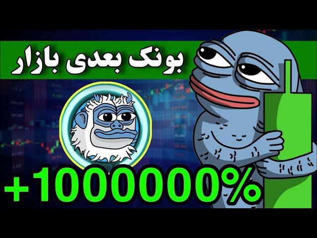 این میم کوین قابلیت سود چند صد درصدی رو داره